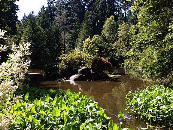 View of Pond & Waterfall #3