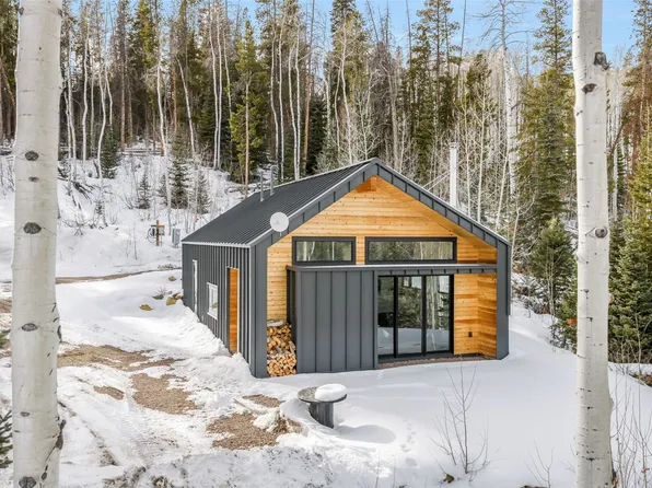 24700 Lone Tooth Trl, Oak Creek, CO 80467