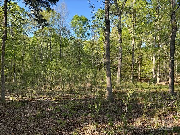 3rd image of 6904 Shady Oak Ln