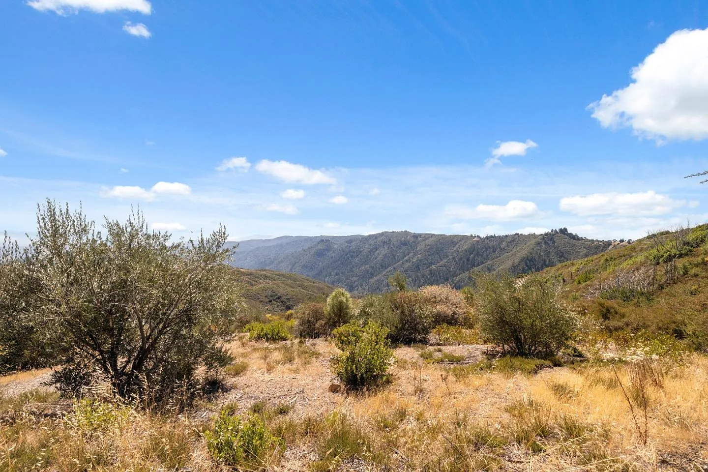 35005 Loma Chiquita Rd photo 1
