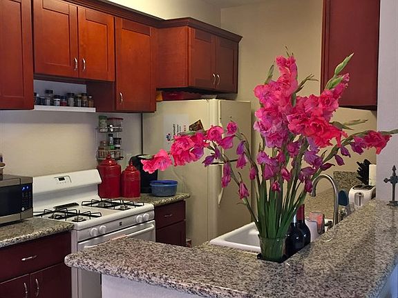 5th image of 10631 Lakeside Dr S #261