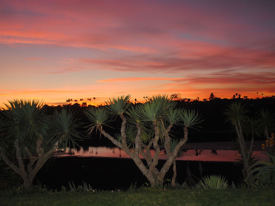 Best View in the Bluff