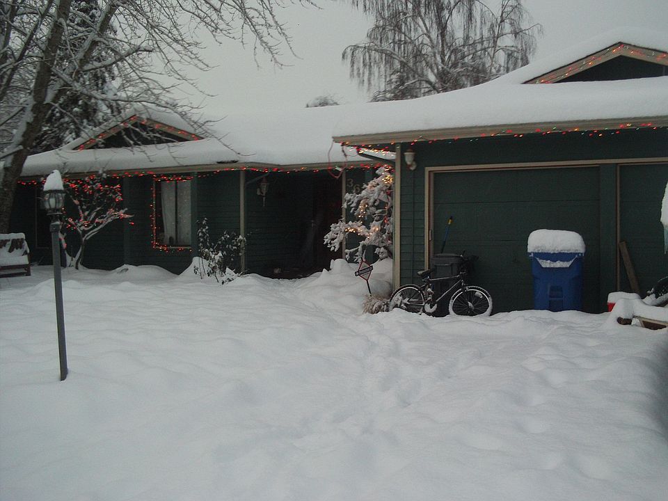 The rare snow fall!