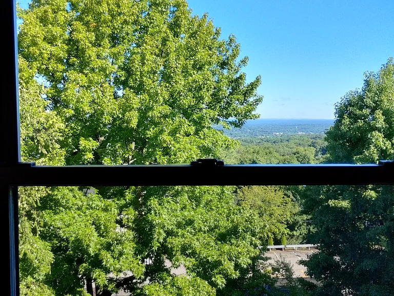 A scenic view from West facing bedroom window.