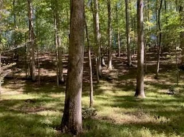 0 E Goldmine Rd, Ellijay, GA 30536