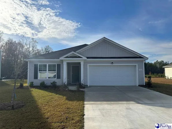 744 Planters Moon Drive Aria #A-lot 207, Galivants Ferry, SC 29544