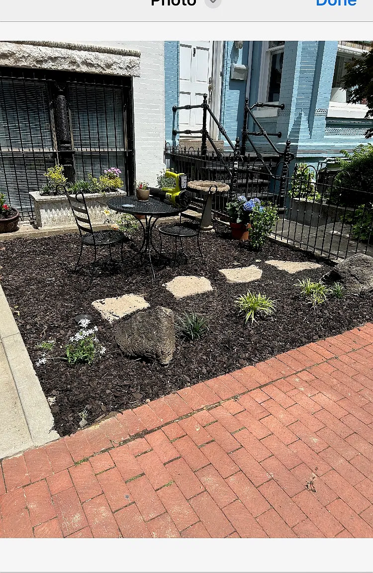 1317 T St NW — Photo 2