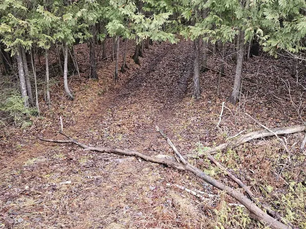 County Road 374, Carney, MI 49812