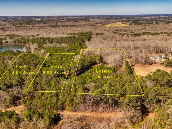 0 Padgett Rd #12, Senoia, GA 30276