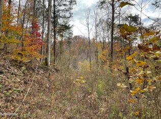 Fall Creek Rd, Maynardville, TN 37807