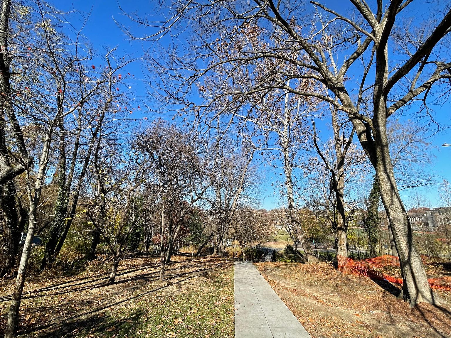 Washington, DC 20019