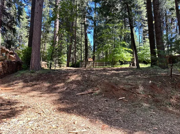 5101 Riffles Ln, Pollock Pines, CA 95726