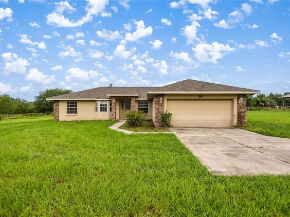 10780 SE Highway 464c, Ocklawaha, FL 32179