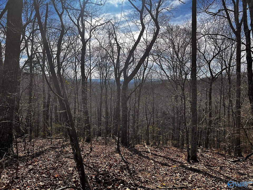 2nd image of Holcomb Ridge Rd