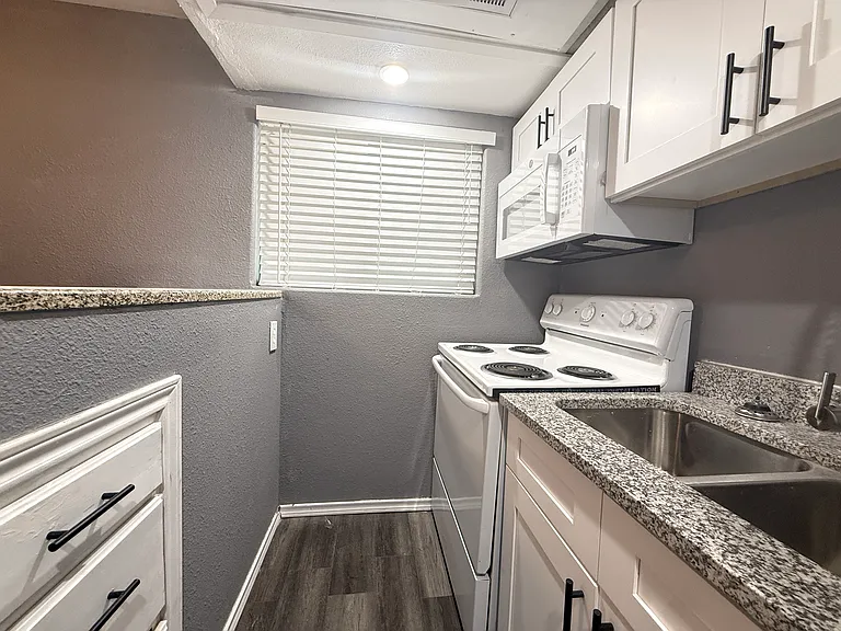 1607 N Carroll Ave #202 — Photo 6