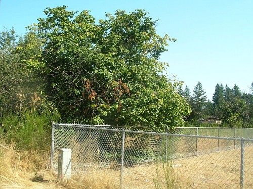 5th image of NULLB Eustis Hunt Rd