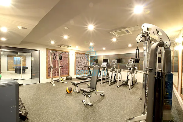 Rented by null | media 45