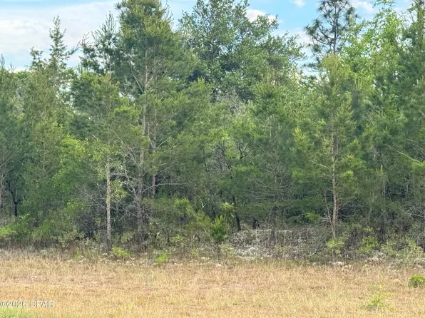 0 Washington Blvd, Chipley, FL 32428