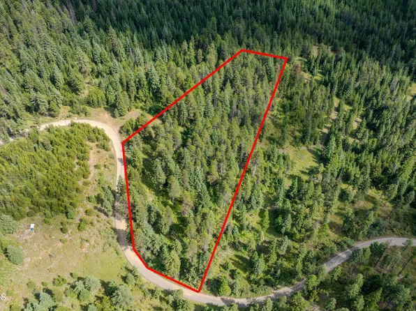 1233 W Tamarack Dr, Fernwood, ID 83830