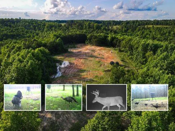 1 Hyde Rd, Phil Campbell, AL 35581