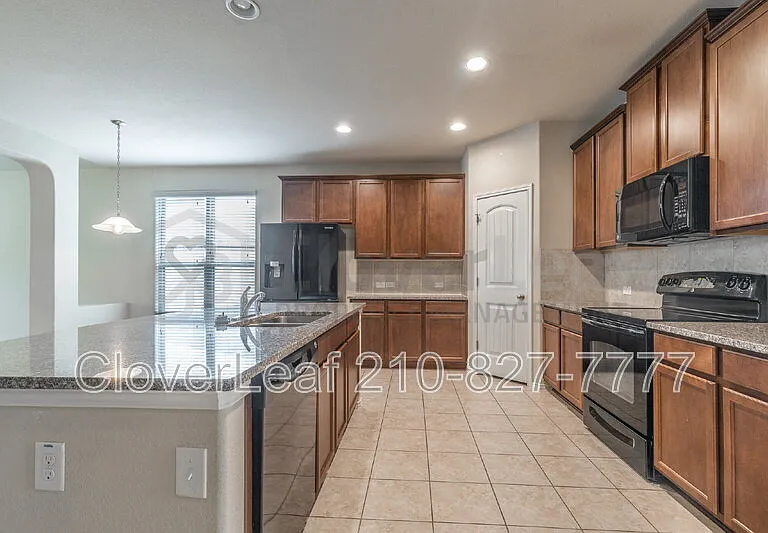 3734 Ox Eye Daisy — Photo 17