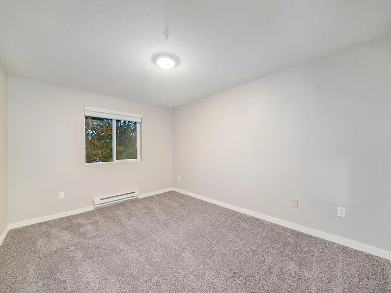 Samish Bay Flats — Photo 11