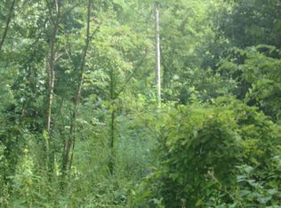 Neddy Mountain Rd, Del Rio, TN 37727