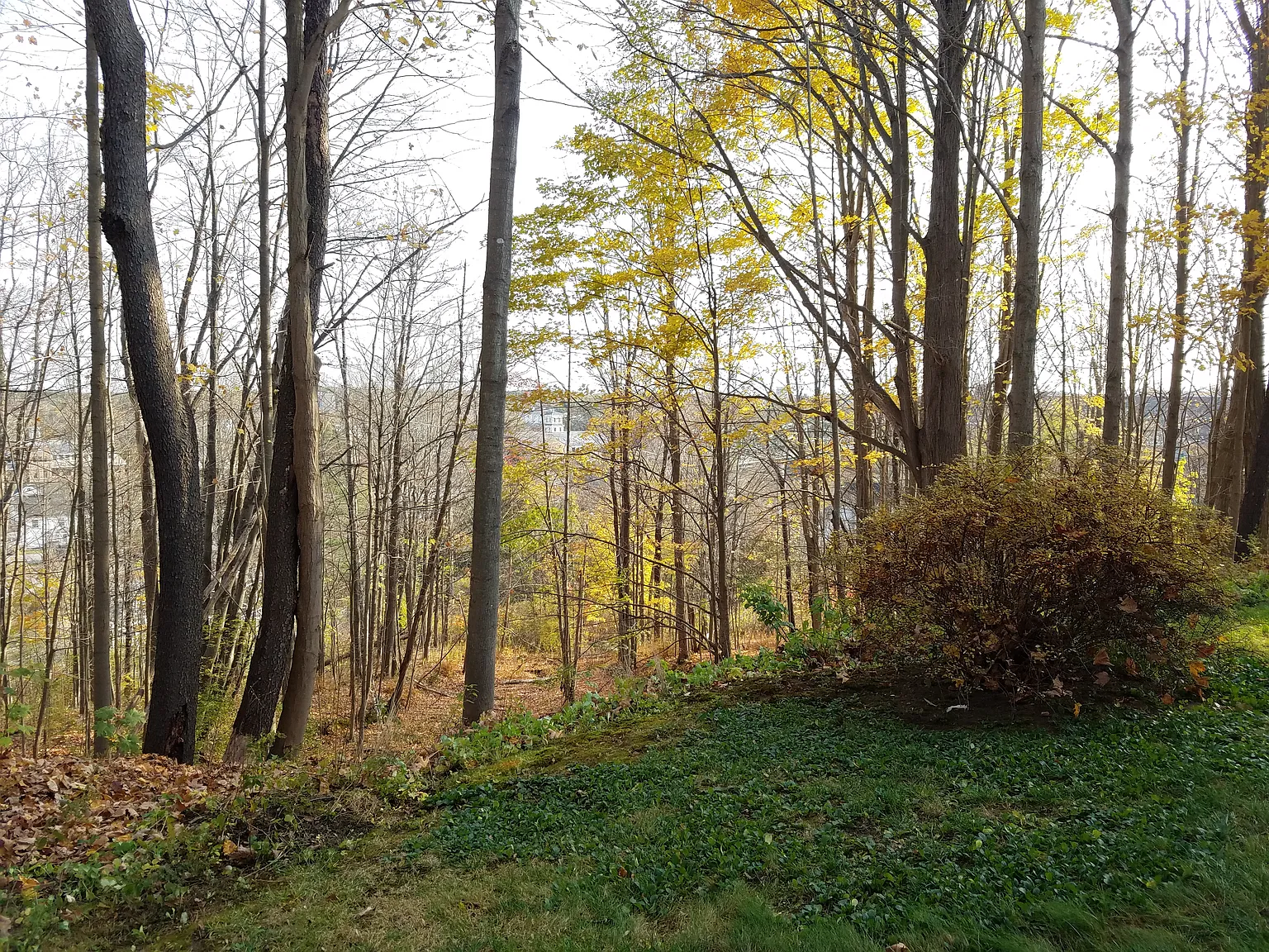 2 bed, 1200 sqft, $2,150 — Photo 4