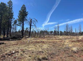 LOT 542 Forbes Rd, Fort Garland, CO 81133
