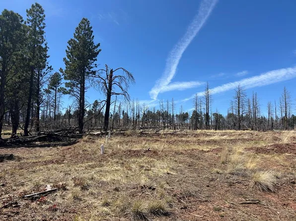 LOT 542 Forbes Rd, Fort Garland, CO 81133