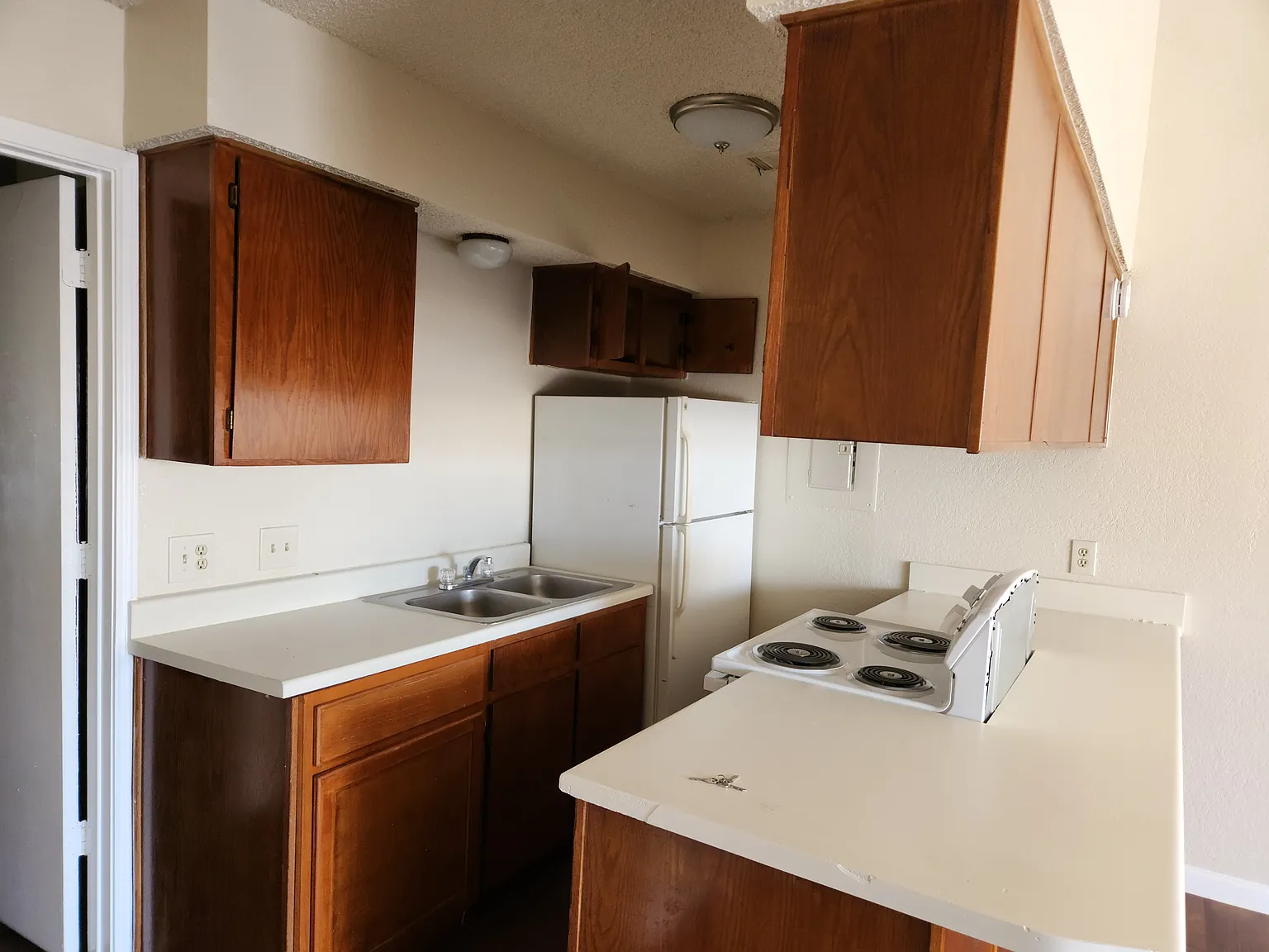 1 bed, 512 sqft, $800 — Photo 3