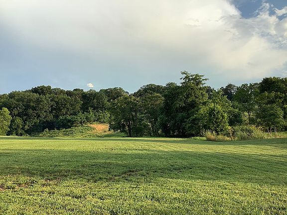 View from the back yard.