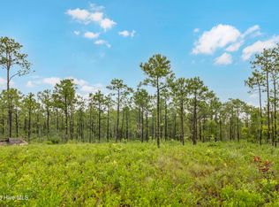 17 Highway Off TRACT 5B, Hampstead, NC 28443