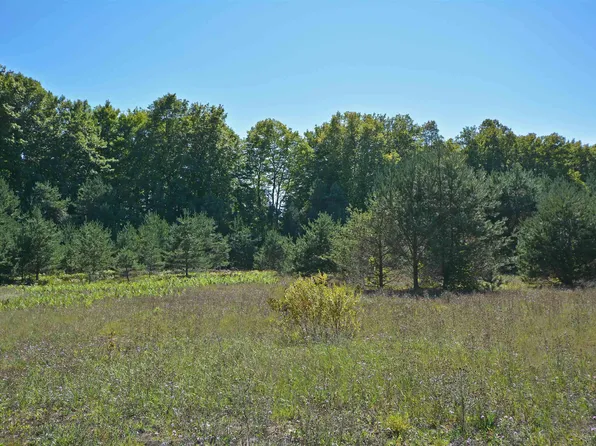 Autumn Mist Ln #H, Thompsonville, MI 49683