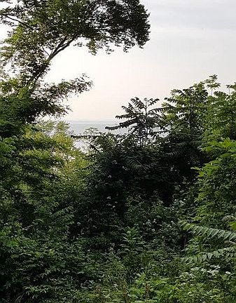 View from back of house