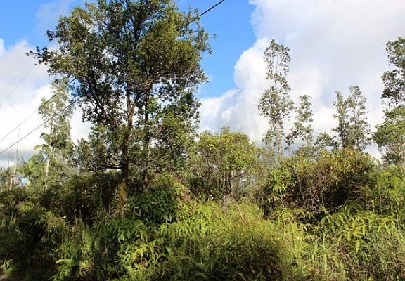 5th image of Road G Kele #Wao