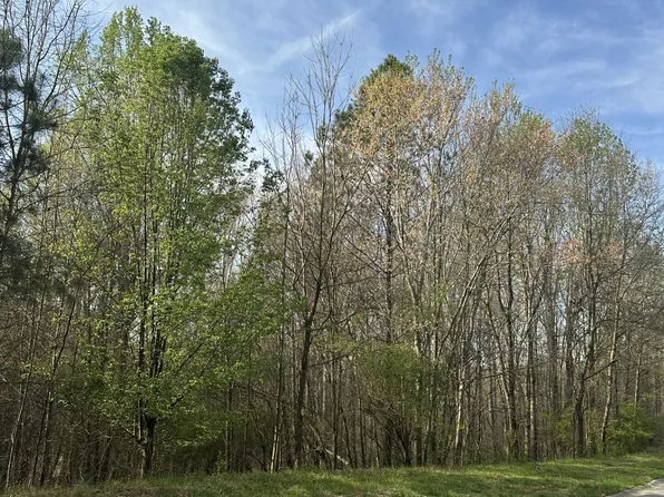 3462 Roy Parks Rd, Gainesville, GA 30507