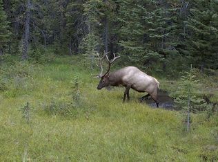 75/AC Jack Creek Rd, Basin, MT 59631