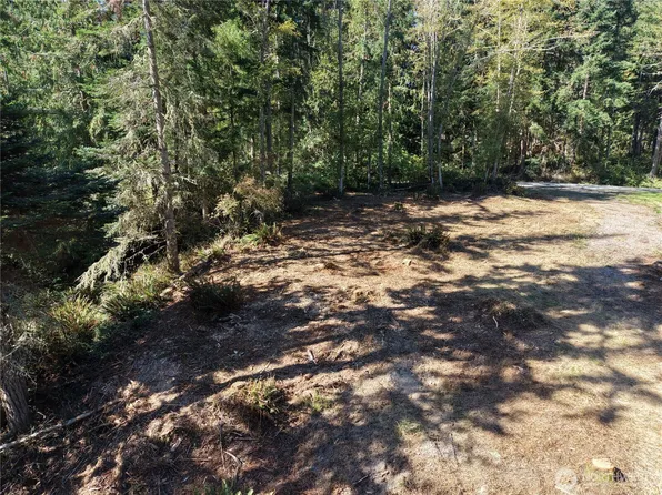 9999 Took A Look Ln Lot 2, Sequim, WA 98382