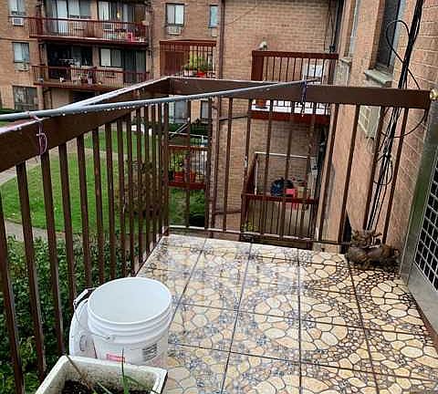5th image of 94-11 46th Ave #3