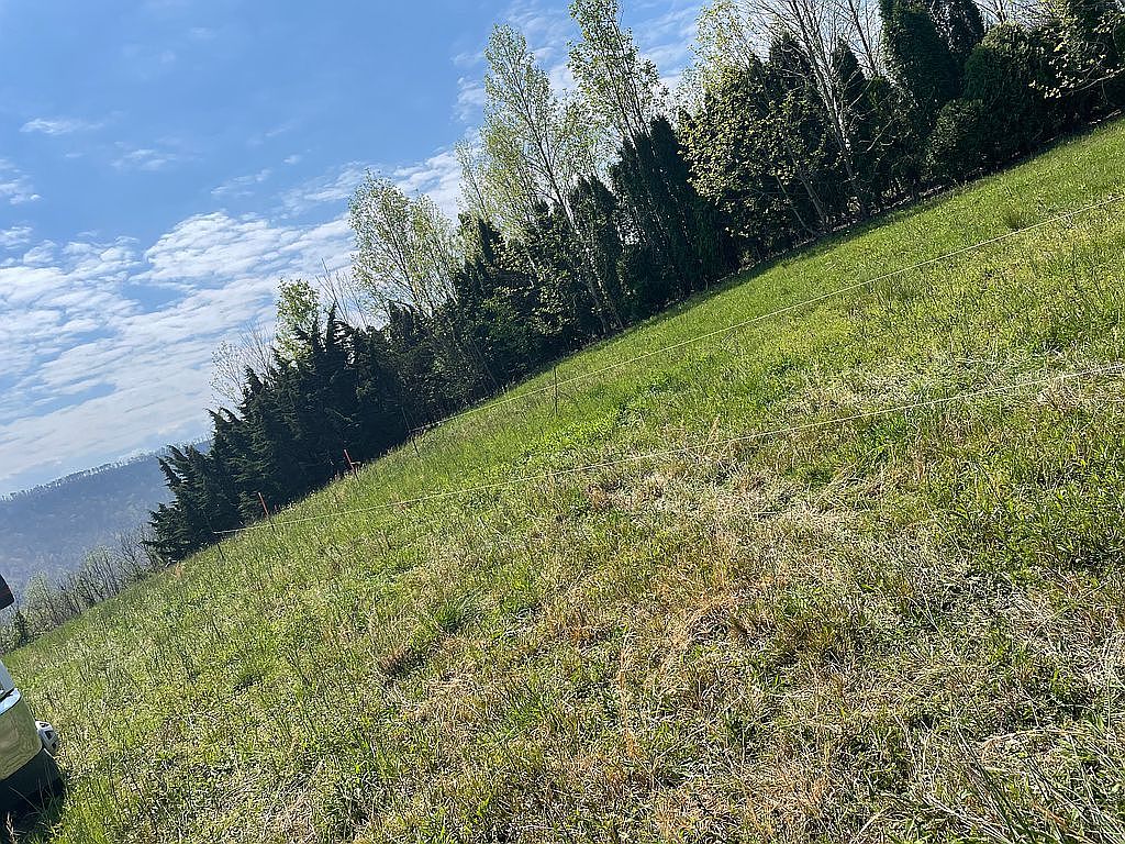 3860 County Road 792, Flat Rock, AL 35966 | Zillow
