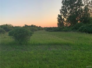 0 Reeves Rd, Dexter, NY 13634