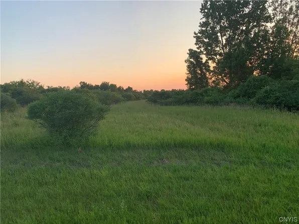 0 Reeves Rd, Dexter, NY 13634