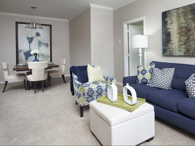 The Village at Fountain Lake — Photo 17