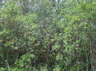 40th St LOT 43, Kurtistown, HI 96760