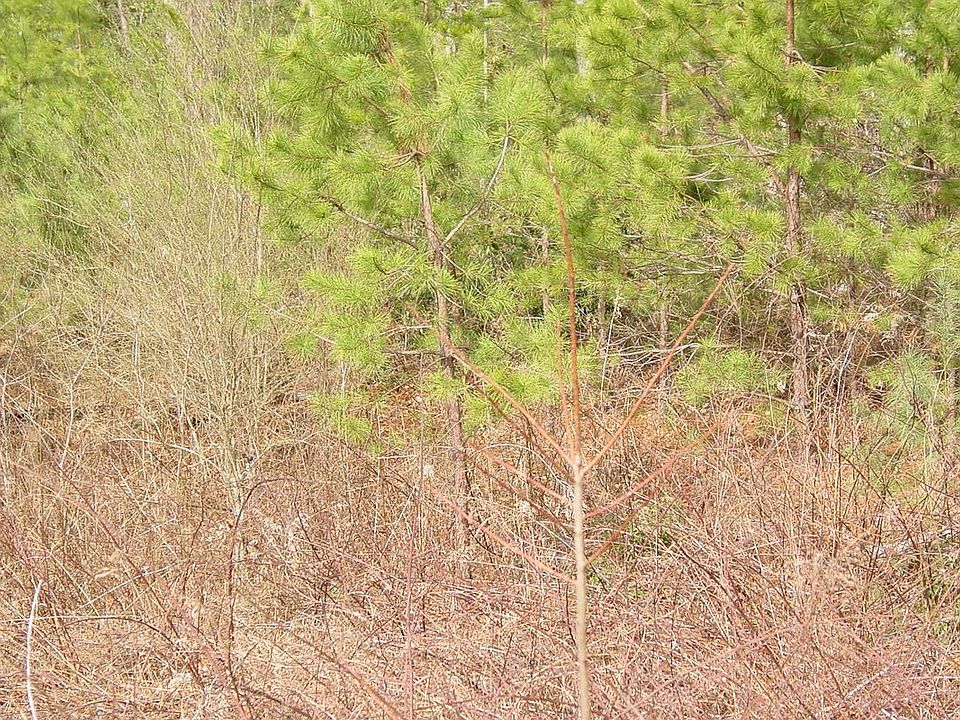 2nd image of 13 Spaniard Point Rd