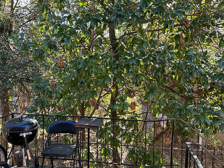 Back porch