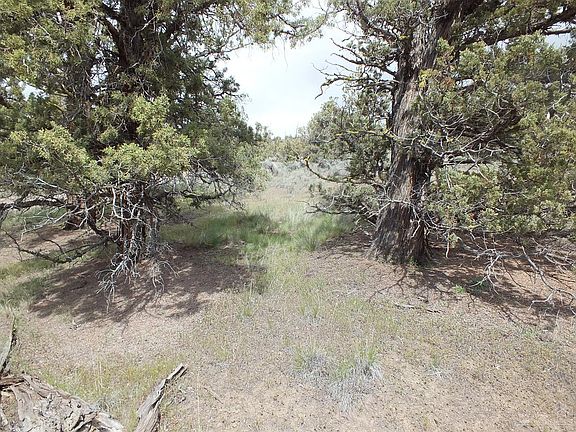 5th image of 0 SW Jack Pine Pl