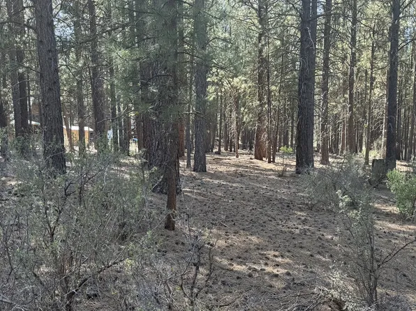 Water View Way #3, Chiloquin, OR 97624