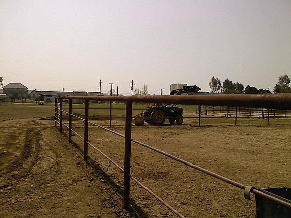 Arena, 8 stalls, and pasture